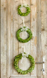 BOXWOOD WREATHS WITH IVORY RIBBON